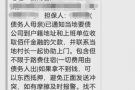 祁阳为什么选择专业追讨公司来处理您的债务纠纷？